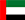 UAE flag icon